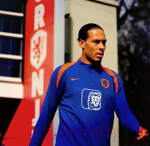 最新世界杯荷兰贝林厄姆阵容解析完整指南